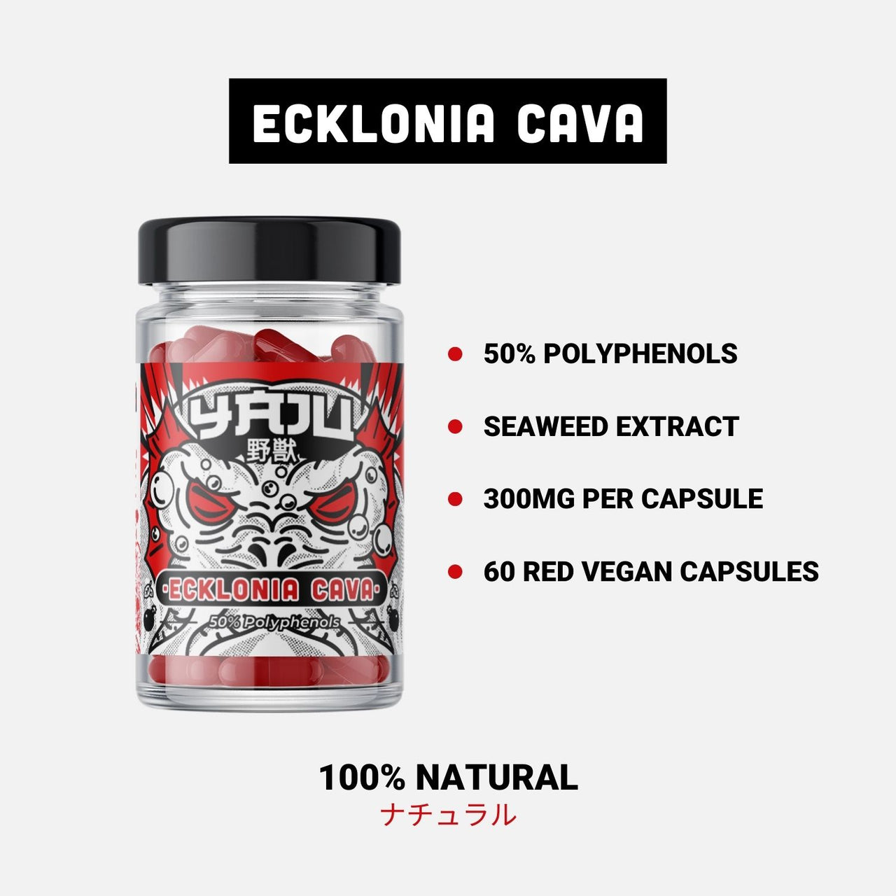 Ecklonia Cava Extract | Ecklonia Cava Polyphenols | YAJU